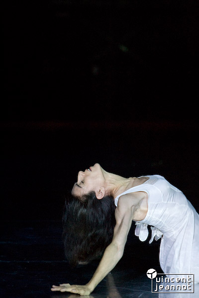 2008_u4n0376
