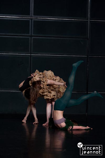 2009_U4N0255
