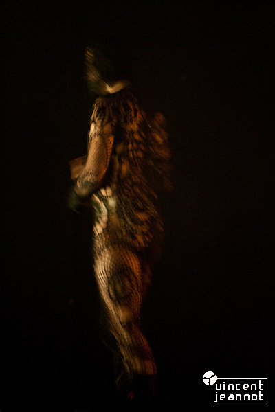 2009_U4N0051