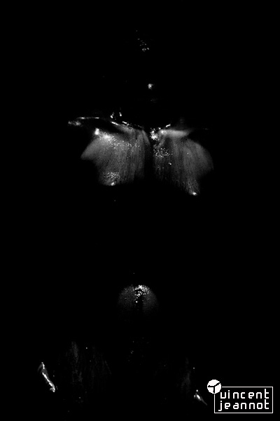 2011_MG_1131