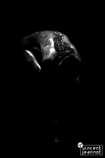 2011_MG_1134