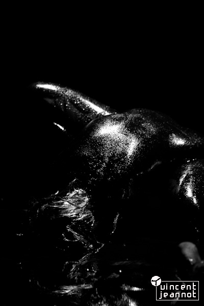 2011_MG_1480